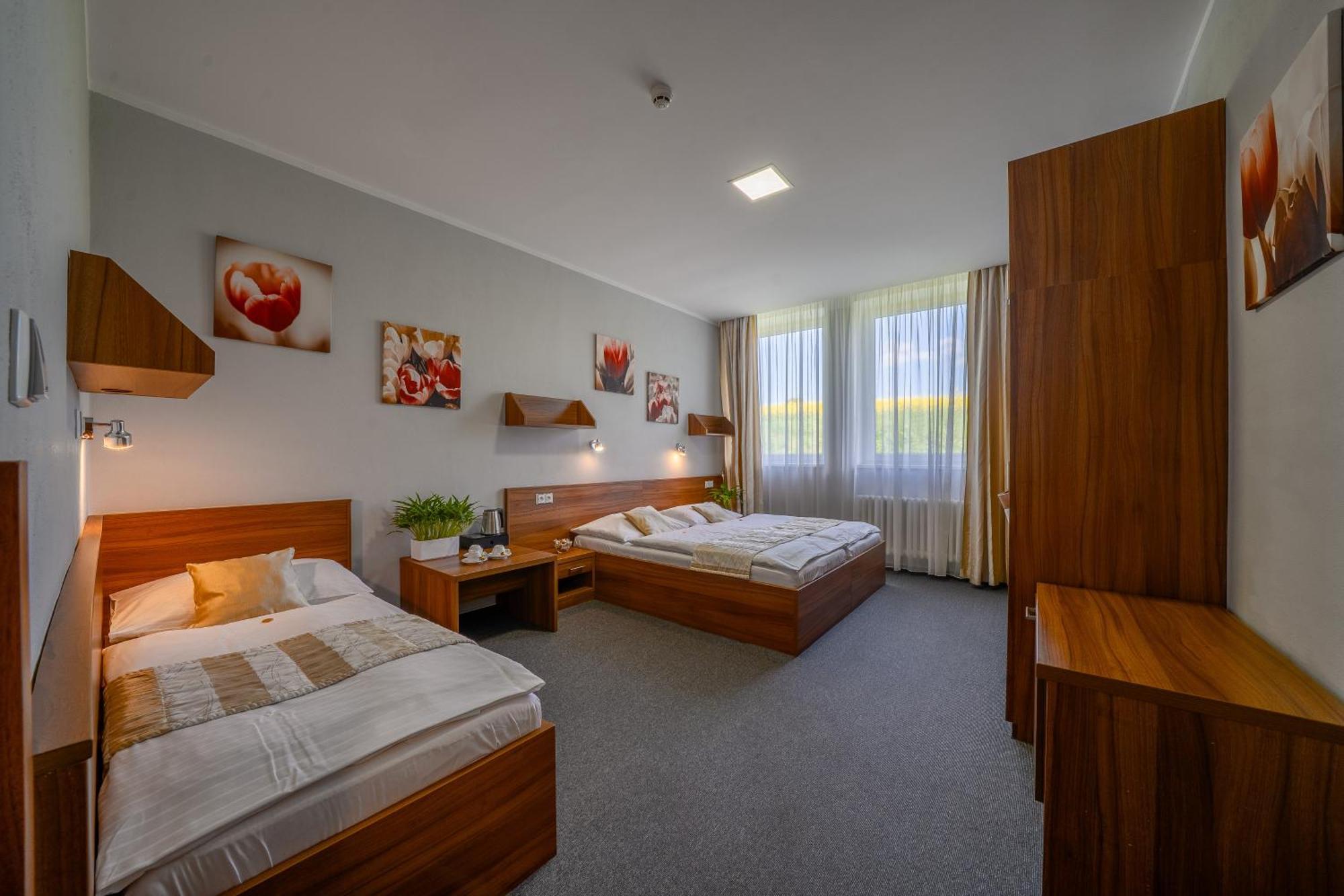 Hotel U Ledu 3*